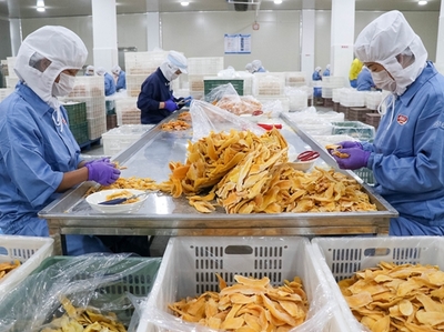 海丽天食品 借力“互联网+”稳订单，食品产业创新干劲足