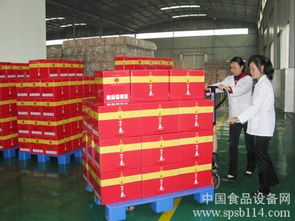 黑龙江塔河县 互联网创业园启动，引领绿色食品加工业踏上“云”征程